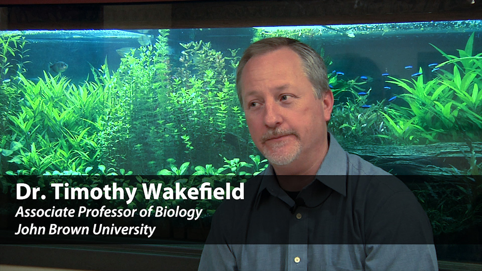Faculty Profile: Dr. Tim Wakefield